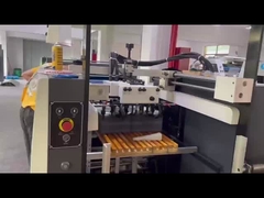 UV lak makinesi-FHSGJ serisi