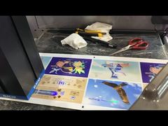 Ruloya Rulo Folyo Damgalama ve Laklama Makinesi Dijital Etiket Geliştirme Yazıcısı