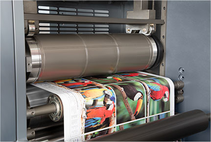 Ecoographix Çok Fonksiyonlu Ofset Döner Etiket Baskı Makinesi 180m/Dk