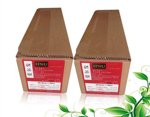 Agfa Hns HS Grafi Sanatları Ofset Baskı İçin Film Ayarlama