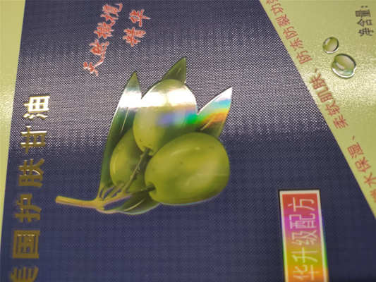 Yüksek Kaliteli Etiket Üretimi için 360*360 dpi'ye kadar 1440*360 dpi çözünürlüğü ve 10m/min - 60m/min Hızlı Dijital Lak Baskı Makinesi